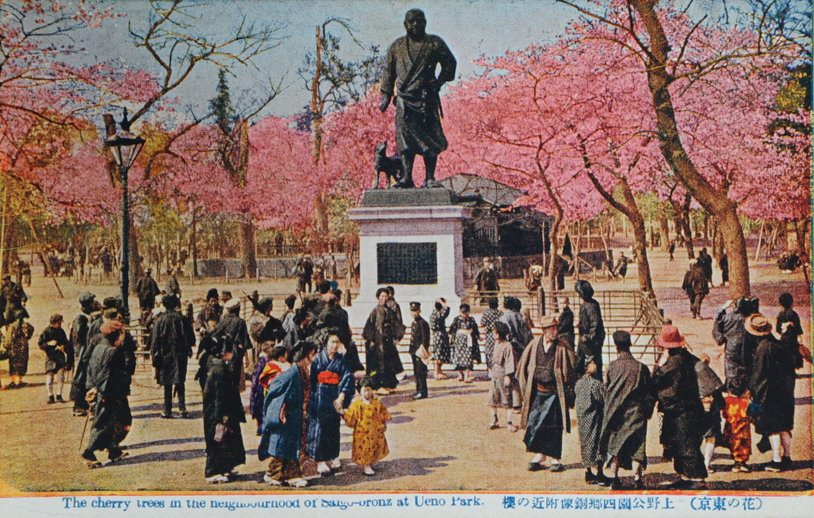 上野公園西郷銅像附近の桜 | 昭和館デジタルアーカイブ