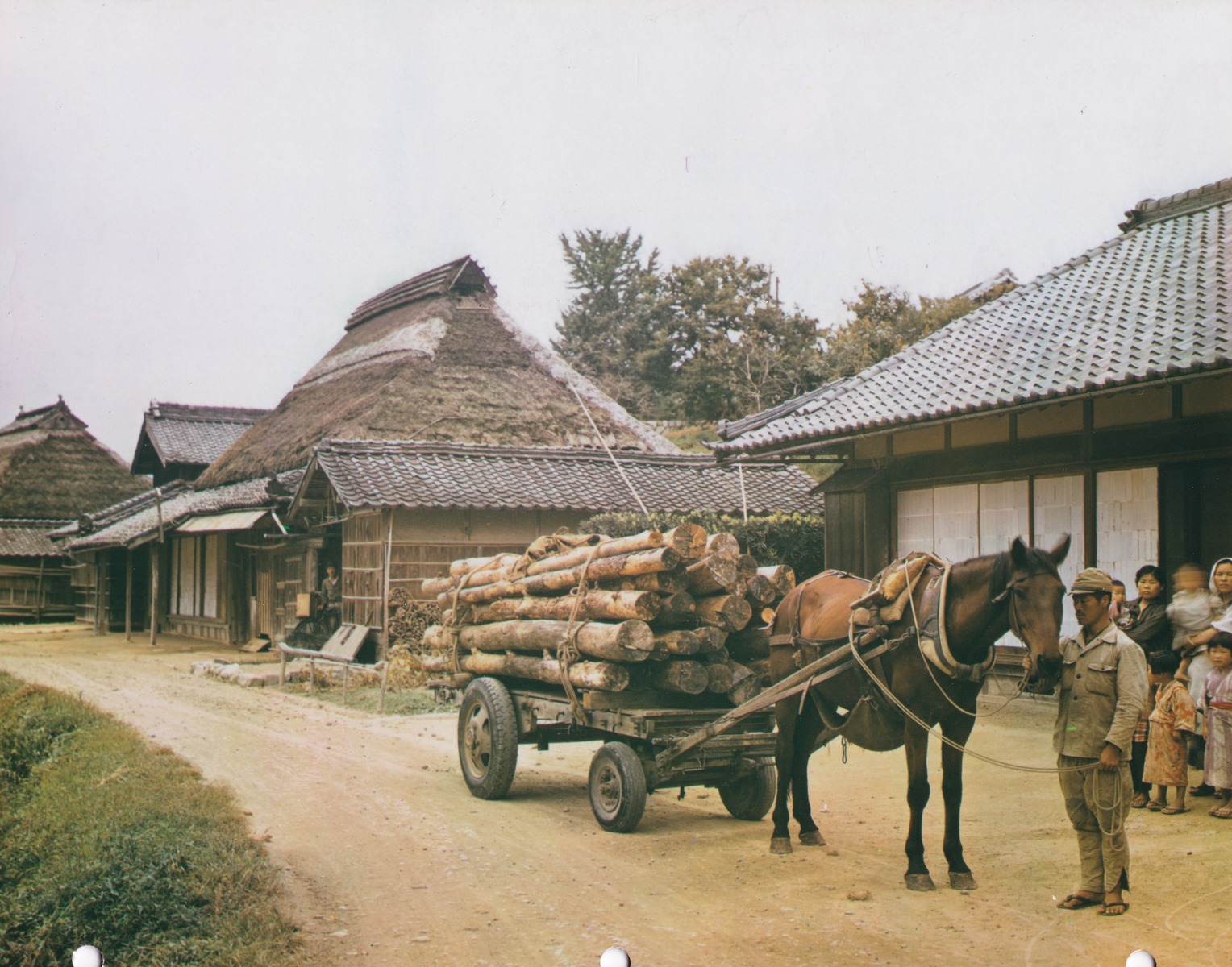 丸太で満載の荷車を引く馬 | 昭和館デジタルアーカイブ